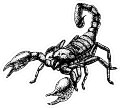 Hand Drawn Sketch Of Scorpion Sticker