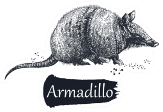Hand Drawn Sketch Style Armadillo Sticker