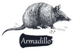 Hand Drawn Sketch Style Armadillo Sticker