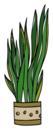 Hand Drawn Snake Plant Sticker