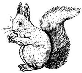 Hand Drawn Squirrel Retro Realistic Sticker