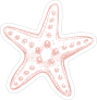 Hand Drawn Starfish Sticker