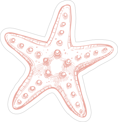 Hand Drawn Starfish Sticker