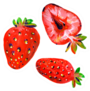 Hand-drawn Strawberries Sticker