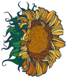 Hand Drawn Sunflower Sticker