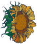 Hand Drawn Sunflower Sticker