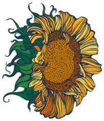 Hand Drawn Sunflower Sticker