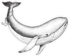 Hand Drawn Swimming Whale Sticker