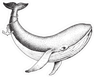 Hand Drawn Swimming Whale Sticker