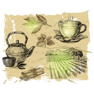 Hand Drawn Tea On Paint Sticker