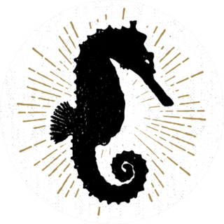 Hand Drawn Textured Seahorse Sticker