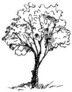 Hand Drawn Tree Sketch Sticker