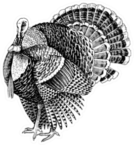 Hand Drawn Turkey Illustration In Retro Style Sticker