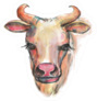 Hand Drawn Watercolor Cow Sticker