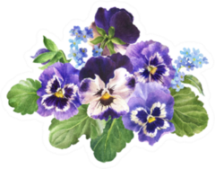 Hand Drawn Watercolor Floral Pansy Set Illustration Sticker