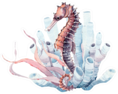 Hand Drawn Watercolor Seahorse Sticker