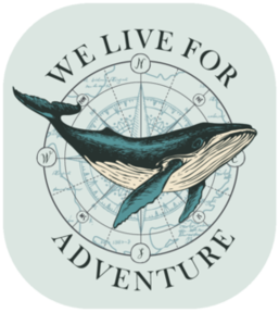 Hand-drawn Whale On The Background Of Wind Rose And Old Map