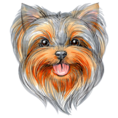 Hand Drawn Yorkie Sticker