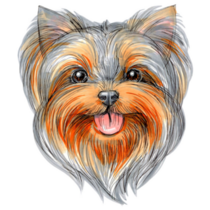 Hand Drawn Yorkie Sticker