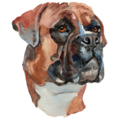 Hand Painted Boxer Sticker