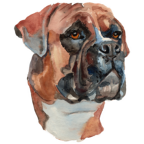 Hand Painted Boxer Sticker