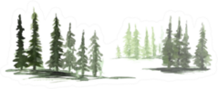Hand Painted Pine Tree Line Watercolor Woods Sticker
