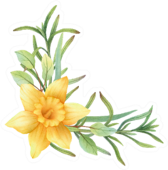 Hand-painted Watercolor Daffodil In Corner Sticker
