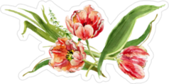 Hand Painted Watercolor Tulip Sticker