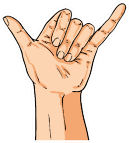 Hand Shoving Shaka Gesture Detailed Illustration Sticker