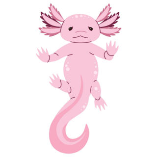 Hands Up Axolotl Sticker