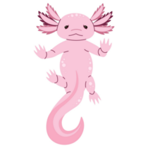 Hands Up Axolotl Sticker