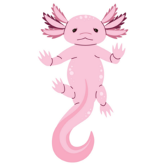 Hands Up Axolotl Sticker