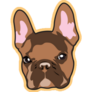 Handsome Brown French Bulldog Sticker