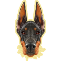 Handsome Doberman Yellow Sticker