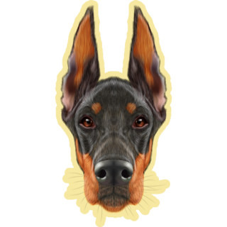 Handsome Doberman Yellow Sticker