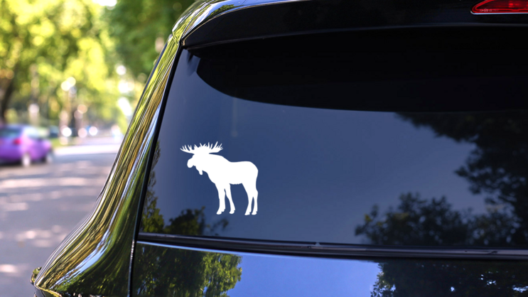 Handsome Moose Sticker on a Rear Car Window (New) example