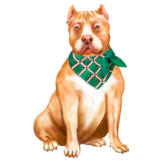 Handsome Pitbull Sticker