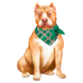 Handsome Pitbull Sticker