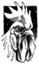 Handsome Rooster Chicken- Retro Illustration Sticker