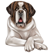 Handsome St Bernard Sticker