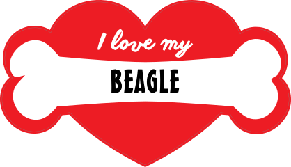 Handwritten I Love My Beagle With Bone And Heart Sticker