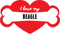 Handwritten I Love My Beagle With Bone And Heart Sticker