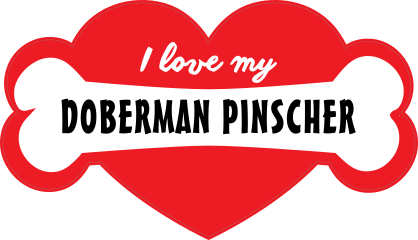 Handwritten I Love My Doberman Pinscher With Bone And Heart Sti