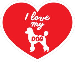 Handwritten I Love My Poodle Heart Sticker