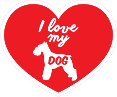 Handwritten I Love My Schnauzer Heart Sticker