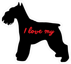 Handwritten I Love My Schnauzer Silhouette  Sticker