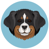 Happy Berner Blue Sticker 