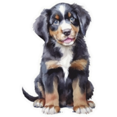 Happy Bernese Pup Sticker