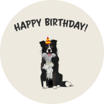 Happy Birthday Border Collie Sticker