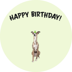 Happy Birthday Whippet Sticker
